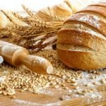 How to Start a Bread Factory?