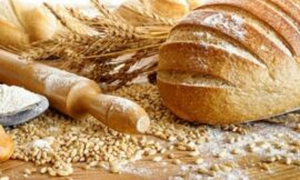 How to Start a Bread Factory?