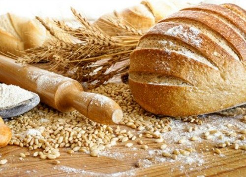 How to Start a Bread Factory?